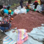 Nord-Kivu : PREMIDIS SARL soucieuse des déplacés de guerre continue à leur venir en aide
